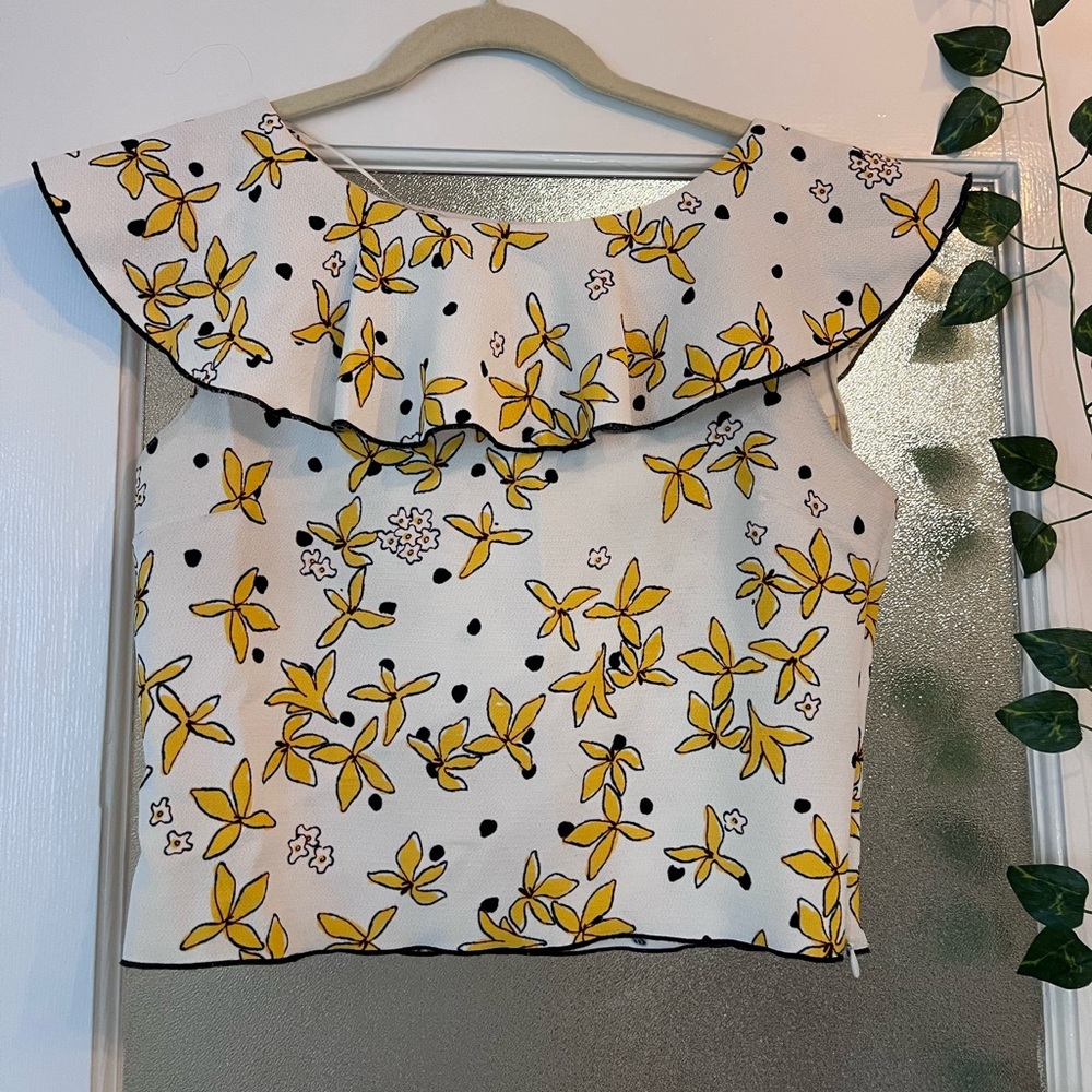 Zara French Summer Top